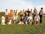 faulenfuerst2013 (1).jpg